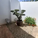 Cosy - Alfarrobas ألغوز