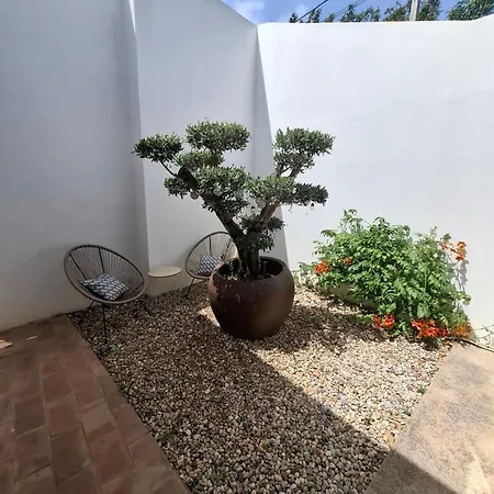 Cosy - Alfarrobas Algoz