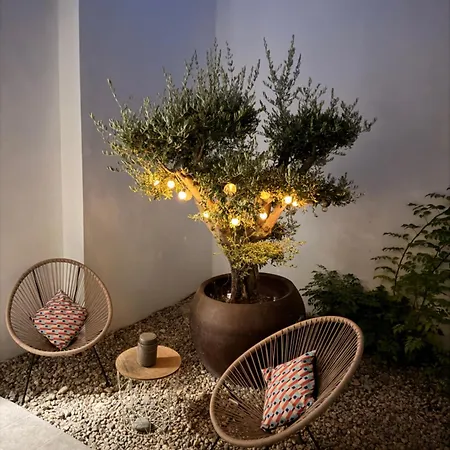 Cosy - Alfarrobas * Algoz