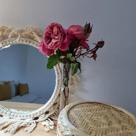 Cosy - Alfarrobas * Algoz