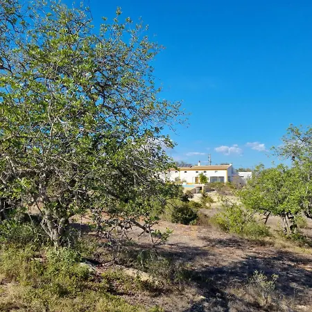 Cosy - Alfarrobas * Algoz