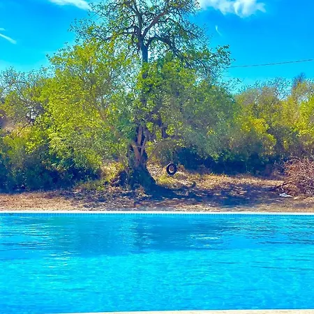 Cosy - Alfarrobas Séjour à la ferme *