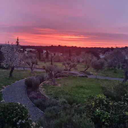 Cosy - Alfarrobas * Algoz